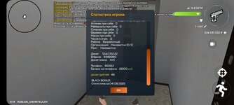 Screenshot_20250804_175727_CRMP Online.jpg