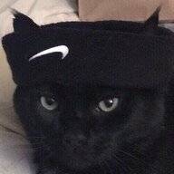 Кот Легендари