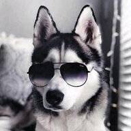 Vlad_Shelbyy𓆩♡𓆪