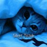 Silent_Tictok