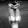 Dima_Veles