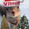 🎆🎄 Vilnur🎄🎆