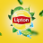 Lipton