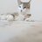 Tomaz_Antiswatov