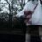 Pawel_Lomonocow