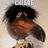 Maloy_Forbes