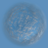 Danil_Frokc